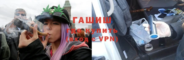 прущие грибы Волоколамск