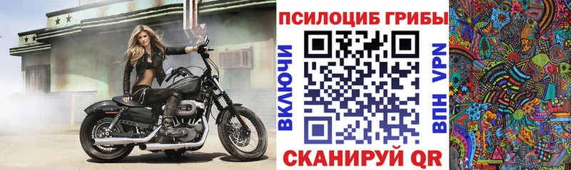 OMG как войти  Калуга  Псилоцибиновые грибы ЛСД  закладки 